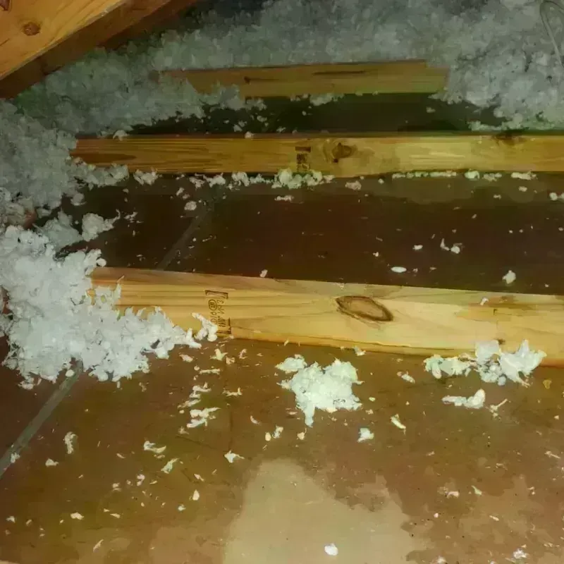 Attic Water Damage in Pawnee County, NE